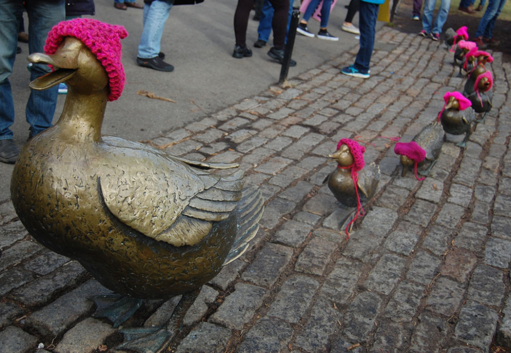 The "Make Way for Ducklings" statues in Boston's Public Garden dressed up in "Pussy Hats" for the "Boston Women's March," Jan. 21, 2017. (Greg Cook)