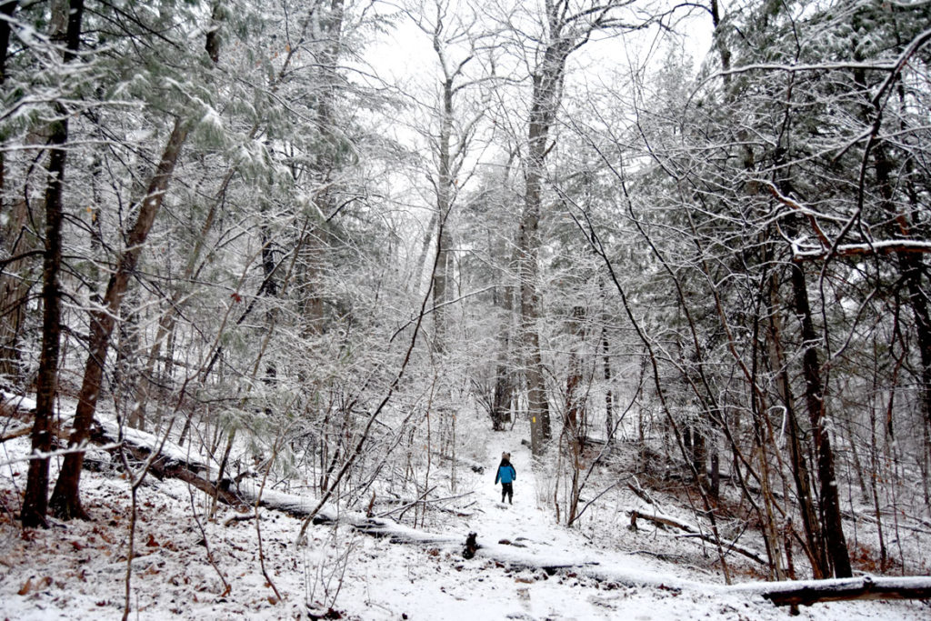Trail to the Cascade in the Middlesex Fells, Melrose, March 23, 2020. (Greg Cook)