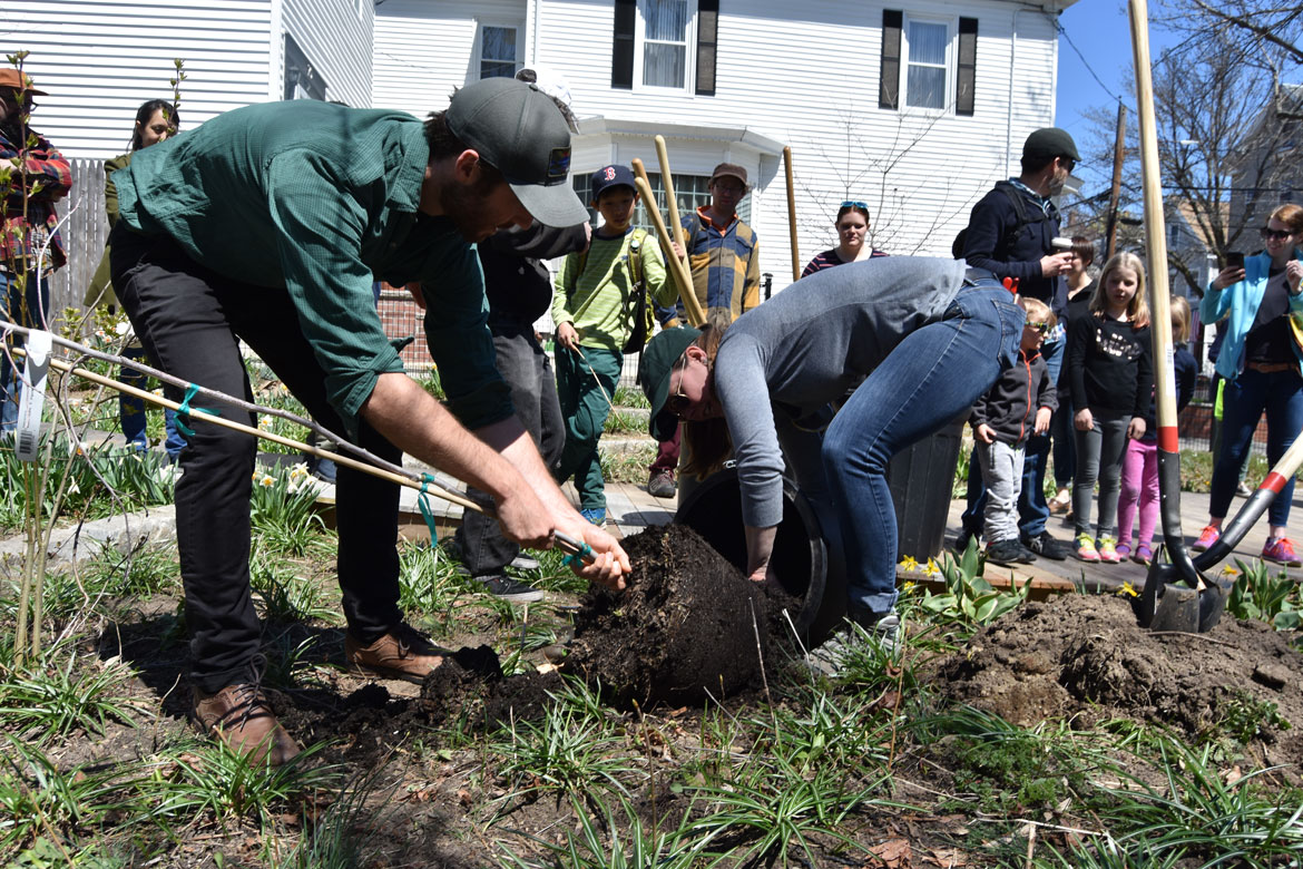 Planting a tree with City of Somerville Urban Forestry and Landscape Planner Vanessa Boukili (right) at the Starting Over Festival, Somerville, April 22, 2018. (Greg Cook)