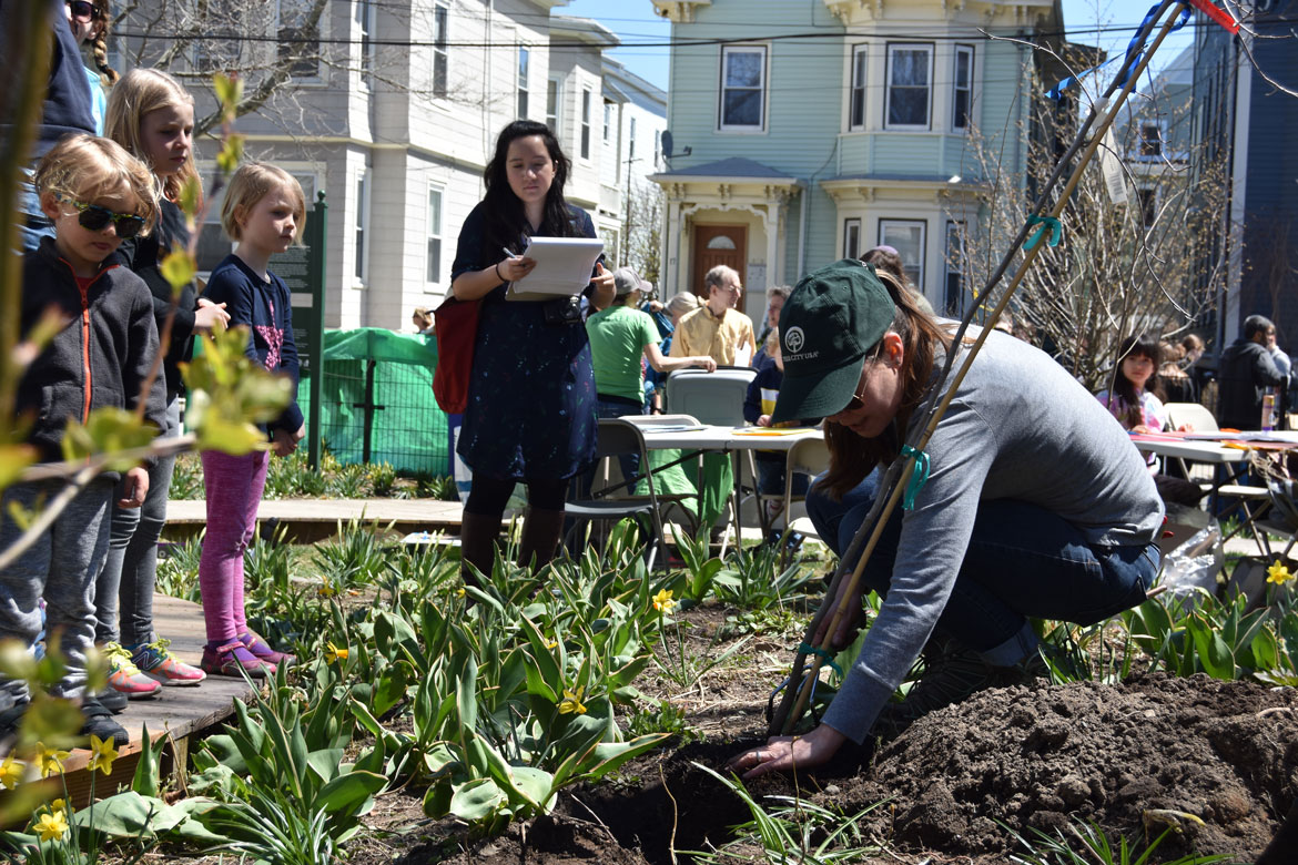 Planting a tree with City of Somerville Urban Forestry and Landscape Planner Vanessa Boukili at the Starting Over Festival, Somerville, April 22, 2018. (Greg Cook)