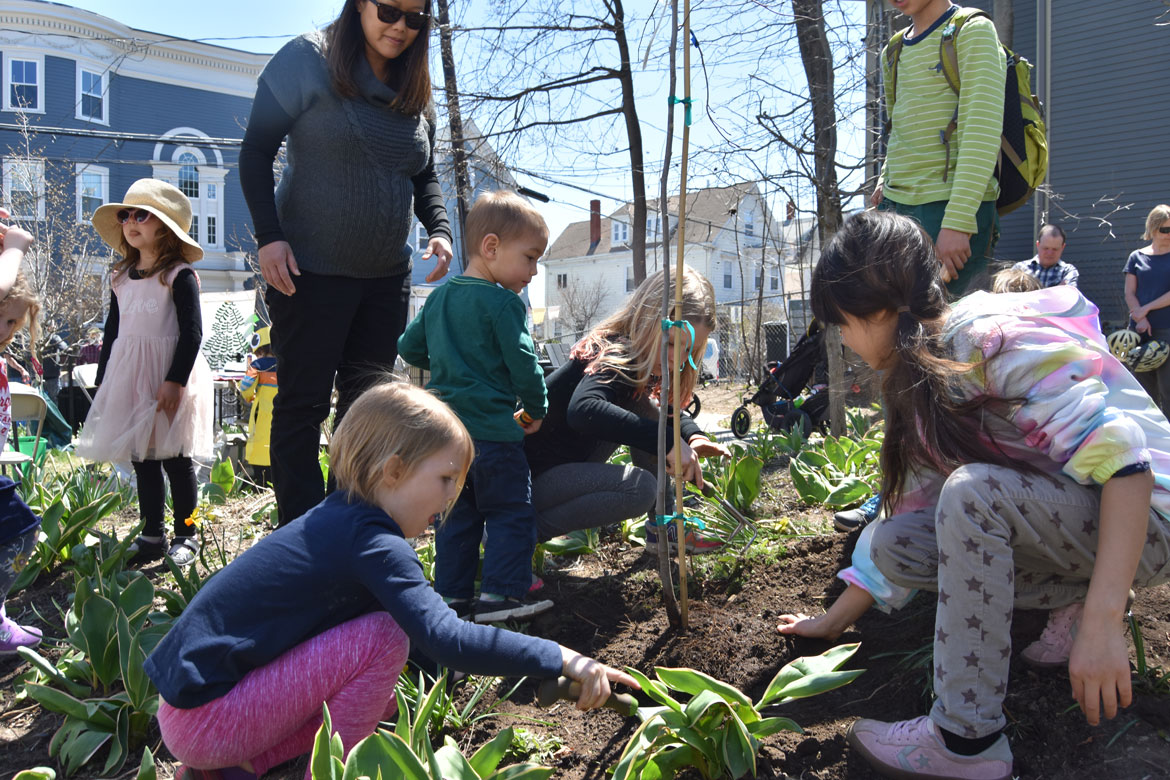 Planting a tree at the Starting Over Festival, Somerville, April 22, 2018. (Greg Cook)