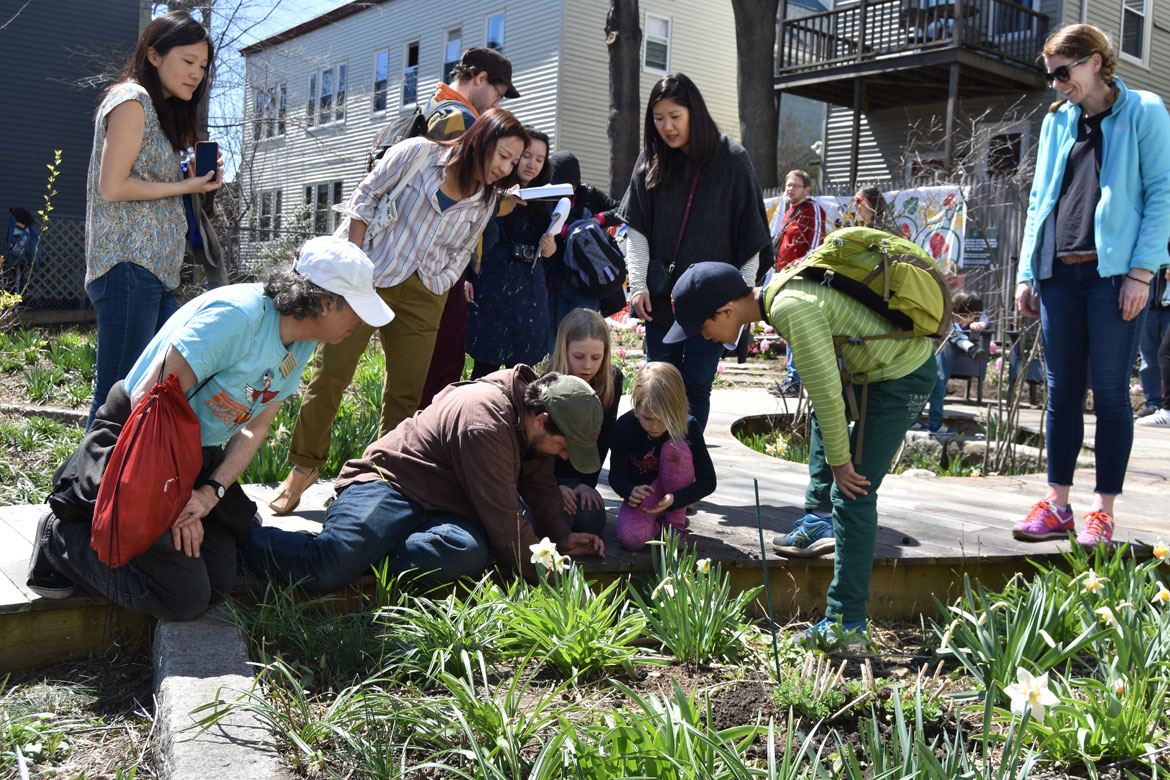 Jef C. Taylor (center in green hat) leads a nature walk at the Starting Over Festival, Somerville, April 22, 2018. (Greg Cook)