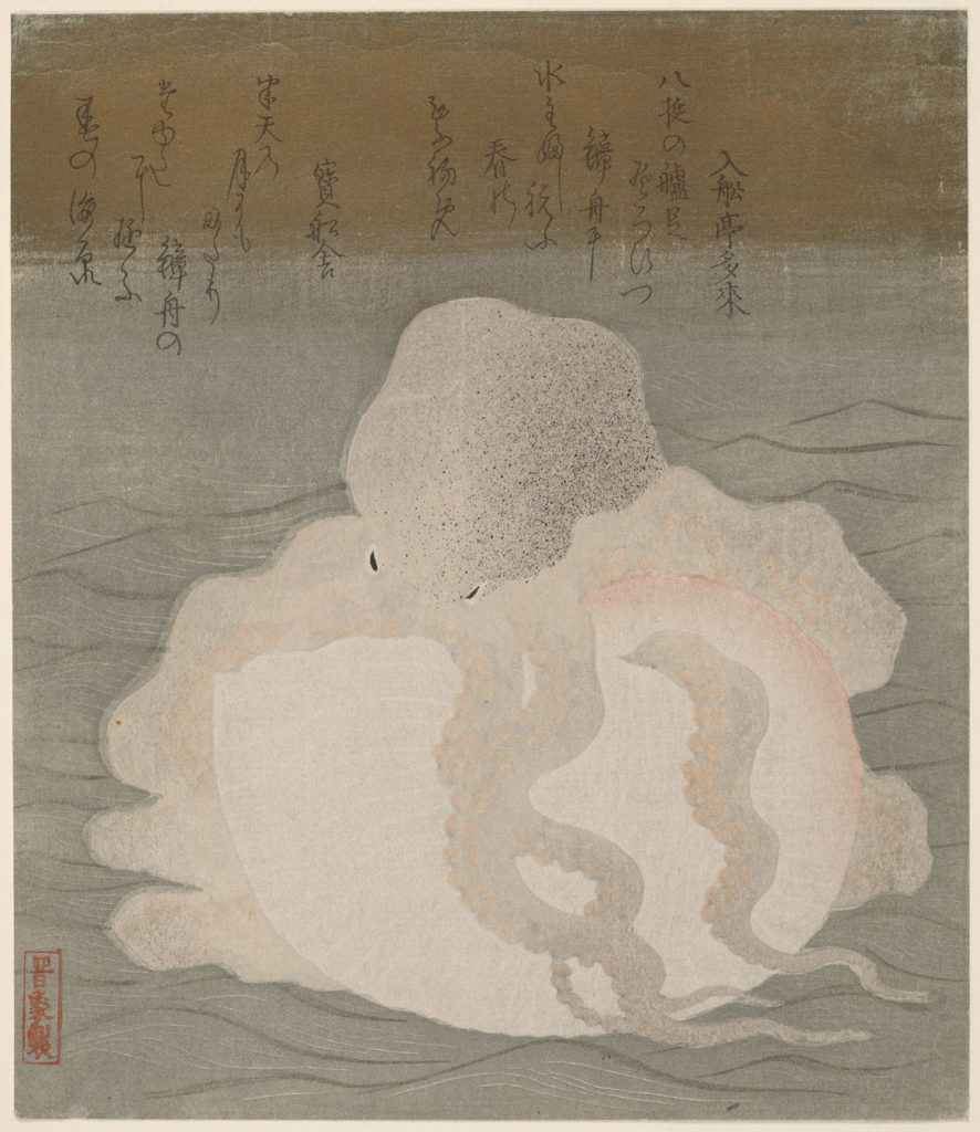 “Octopus and Shell,” Japanese, Edo period, c. 1820s, woodblock print (surimono); ink, color, and metallic pigment on paper. (Courtesy Harvard Art Museums)