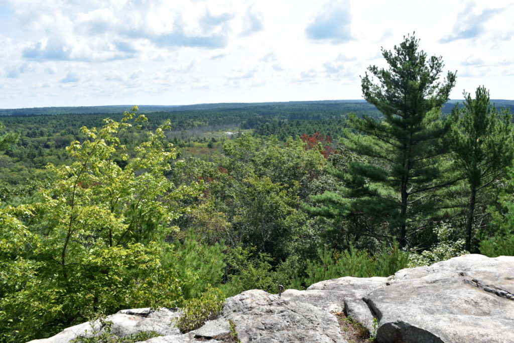 View from Mount Misery overlook in Pachaug State Forest, Connecticut, Aug. 25, 2018. (Greg Cook photo)
