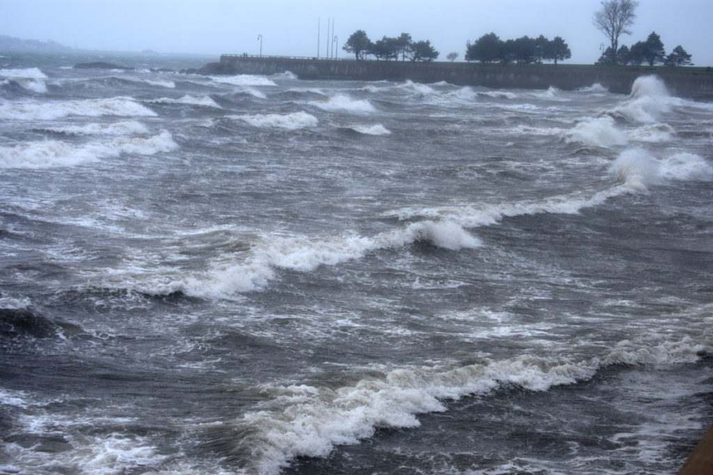 Windstorm at Lynn Shore Drive, near Red Rock Park, Lynn, April 13, 2020. (Greg Cook photo)