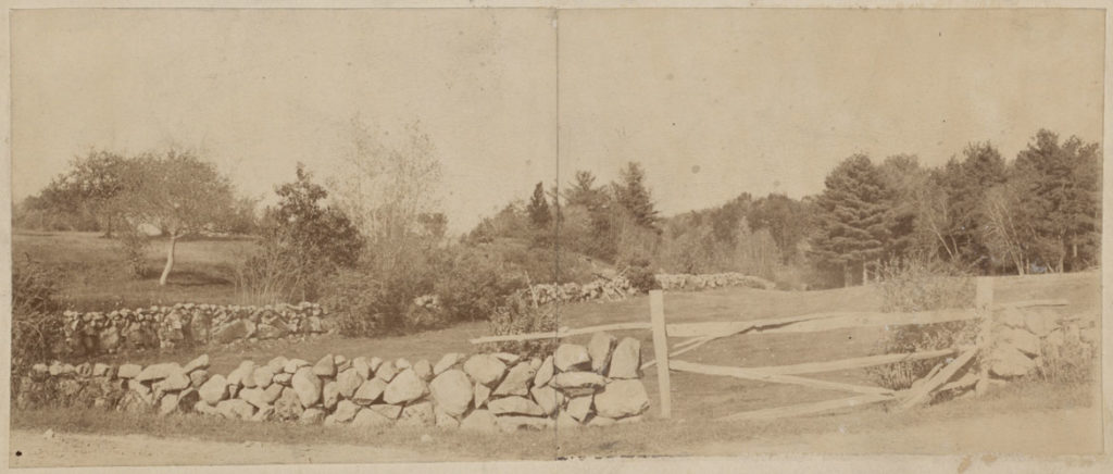 "Parks: View of stone wall and fence in Arnold Arboretum, Jamaica Plain," ca. 1855–1895. (Boston Public Library Arts Department) 