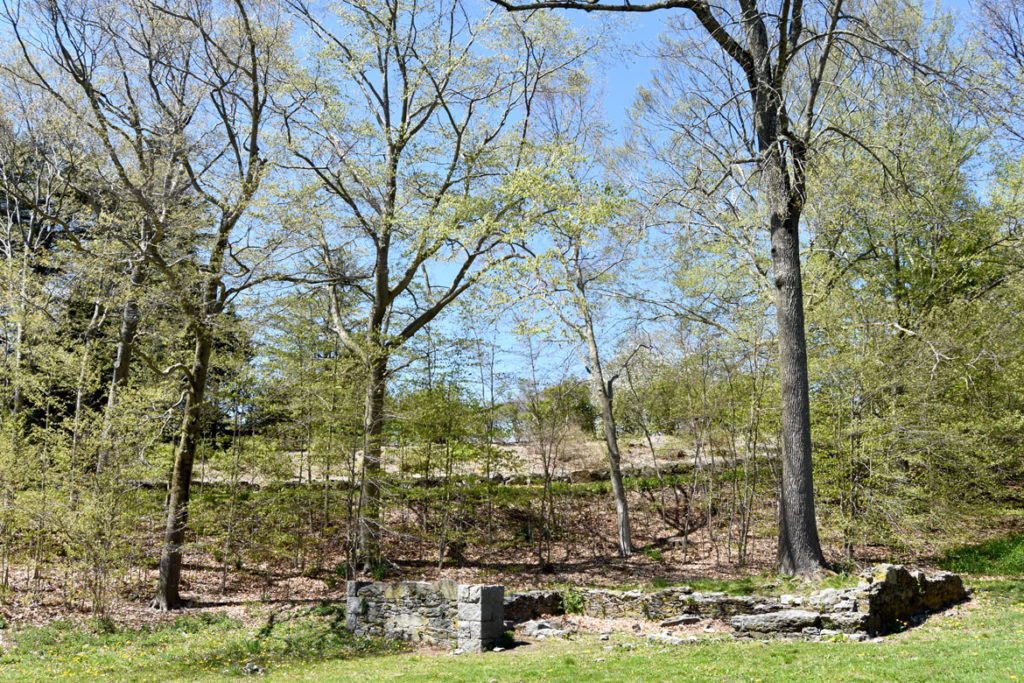 Ruins at Arnold Arboretum, Boston, May 5, 2020. (Greg Cook photo)