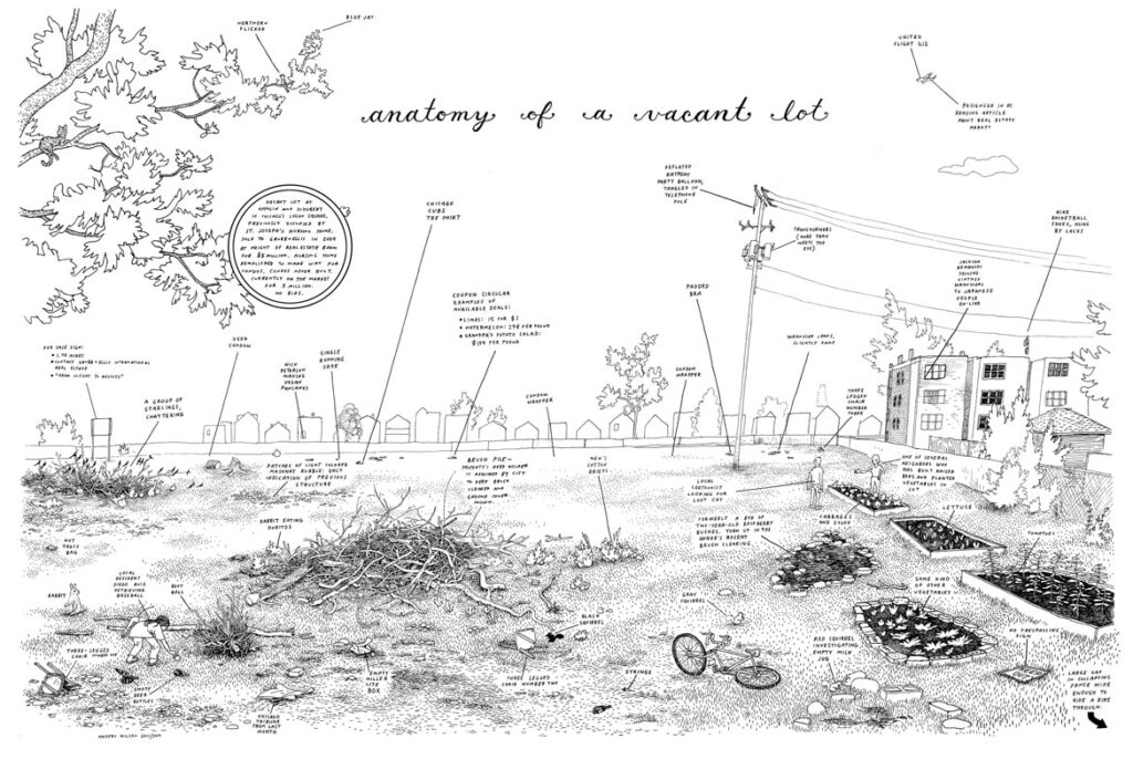 Anders Nilsen, "Anatomy of a Vacant Lot," 2010-11. (Image courtesy of the artist)