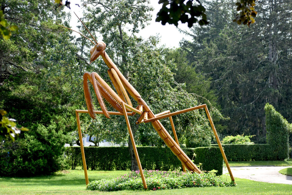 "Praying Mantis" in David Rogers's "Big Bugs" at Green Animals Topiary Garden, Portsmouth, Rhode Island, August 2021. (©Greg Cook photo)