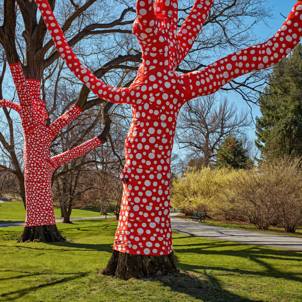 Yayoi Kusama, "Ascension of Polka Dots on the Trees," 2002/2021, at The New York Botanical Garden, 2021. Printed polyester fabric, bungees, and aluminum staples installed on existing trees. (Collection of the artist. Photo by Robert Benson Photography.)