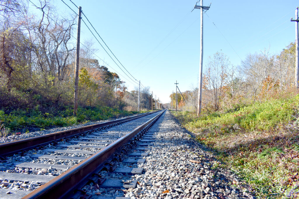 Train tracks between Gloucester and Rockport in Gloucester's Dogtown woods, Nov. 6, 2021. (©Greg Cook photo)