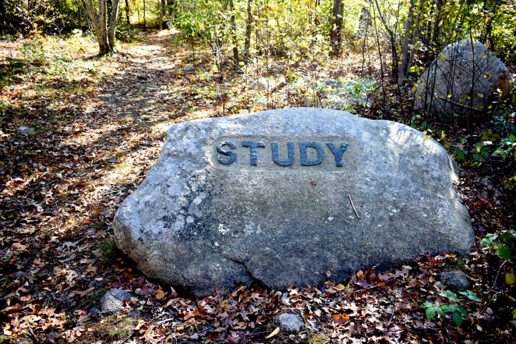 Study boulder in Gloucester's Dogtown woods, Nov. 6, 2021. (©Greg Cook photo)