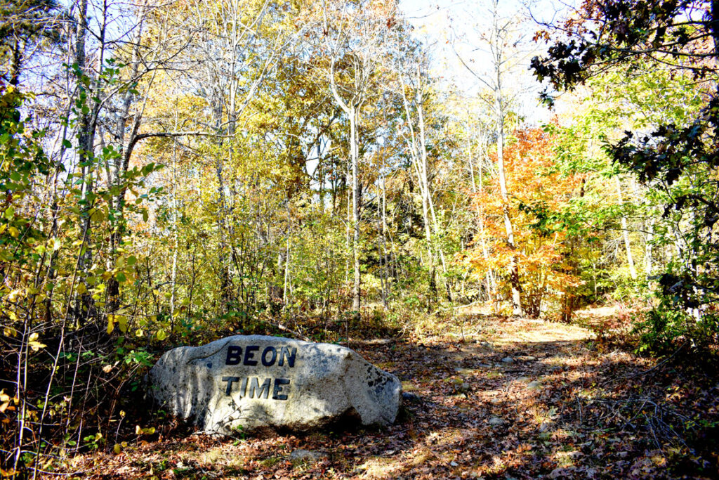 Be On Time boulder in Gloucester's Dogtown woods, Nov. 6, 2021. (©Greg Cook photo)
