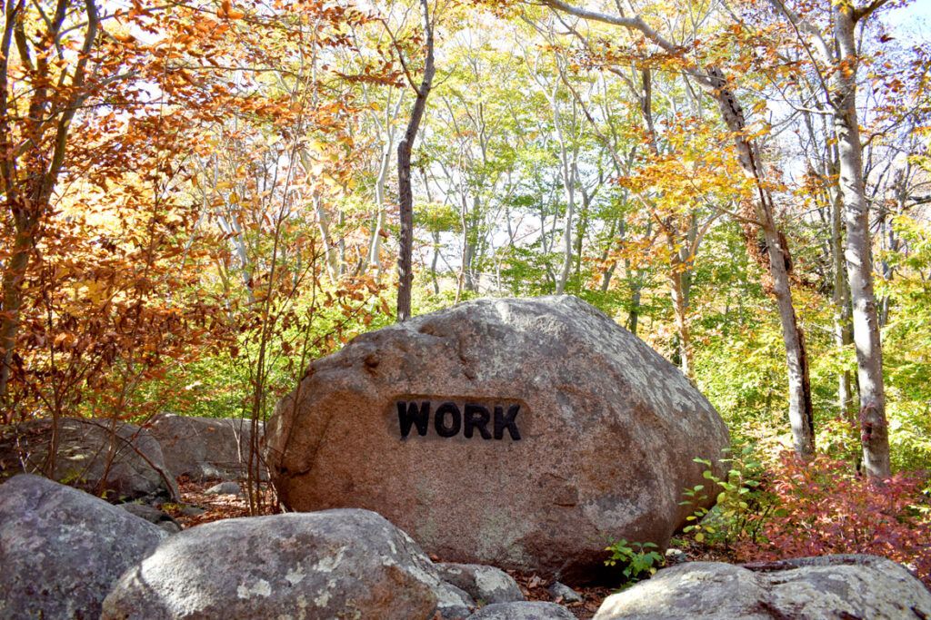 Work boulder in Gloucester's Dogtown woods, Nov. 6, 2021. (©Greg Cook photo)