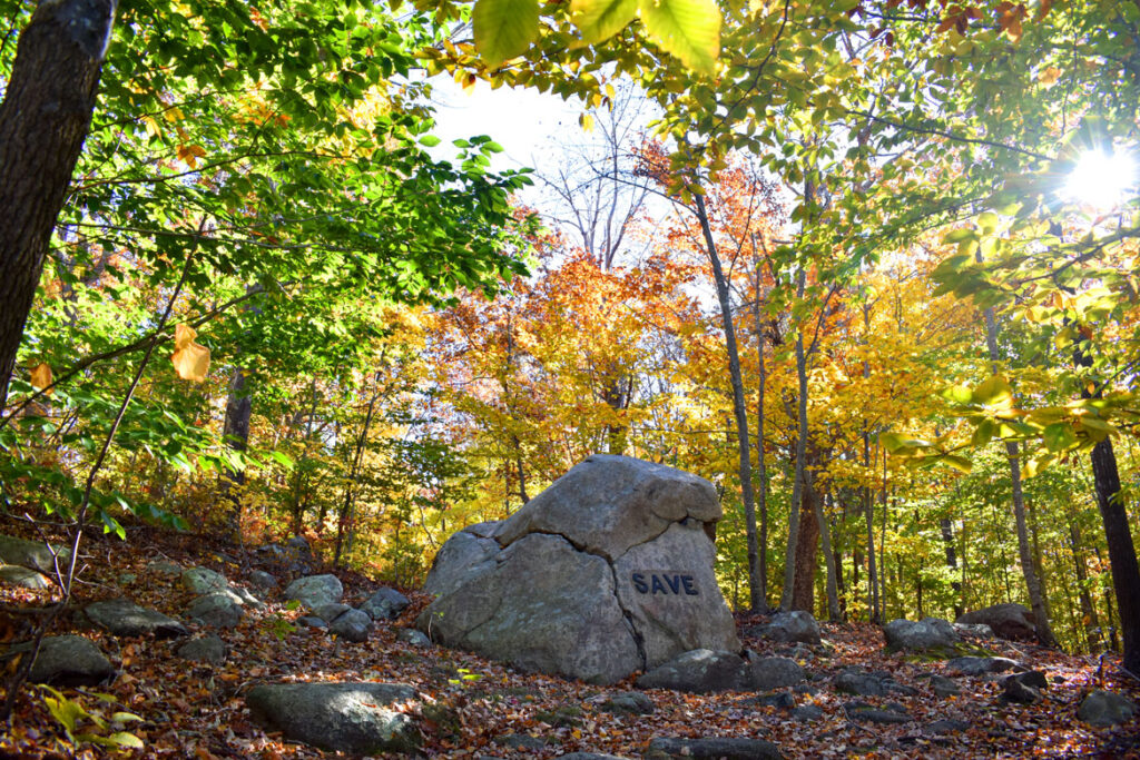 Save boulder in Gloucester's Dogtown woods, Nov. 6, 2021. (©Greg Cook photo)