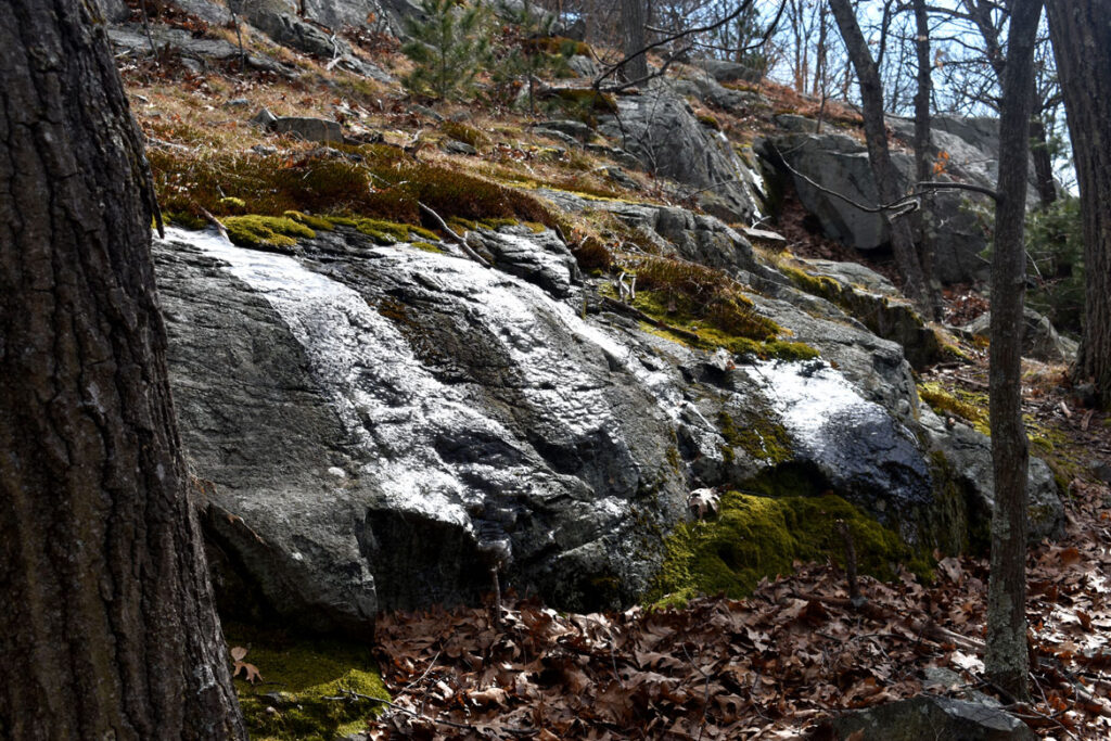 Near Shilly Shally Brook in the Middlesex Fells in Melrose, Feb. 19, 2022. (©Greg Cook 2022)