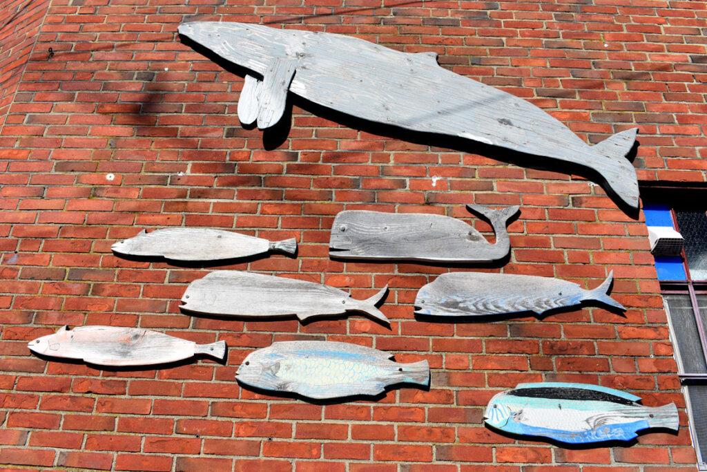 Whales signs at the Pilot House, Gloucester, Massachusetts, March 11, 2022. (©Greg Cook photo)