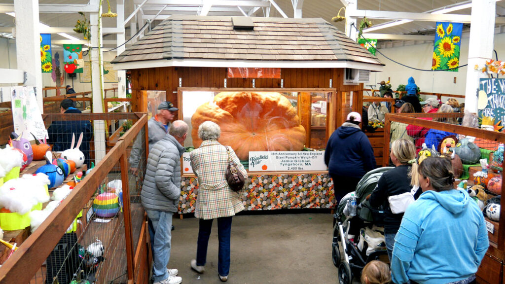Jamie Graham's top-prize-winning 2,480-pound pumpkin at the Topsfield Fair, Oct. 4, 2022. (©Greg Cook photo)