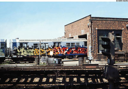 picNeelonNYCKindoTrain