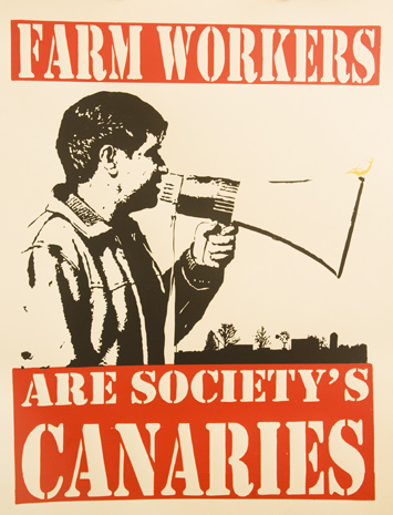 picStainJustseeds