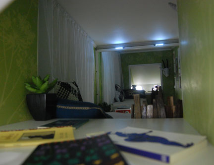 picSwansonHomemadeBull110521InsideW