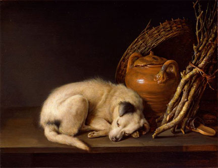 picDouSleepingDog1650