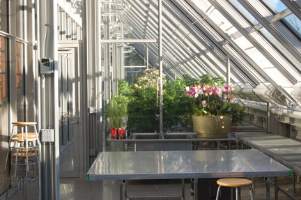 picGardner120111_0661greenhousew