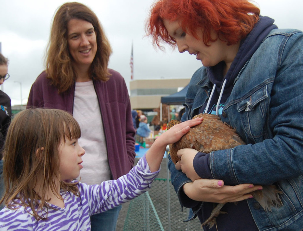 A girl pets one of Ellien Laramie-Byers's chickens. (Greg Cook)
