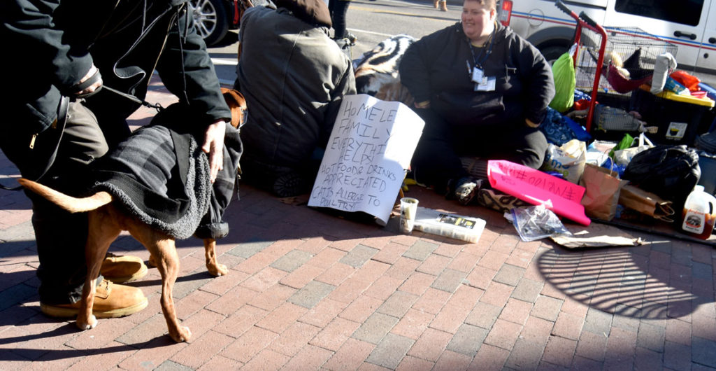 "Homeless family. Everything helps! Hot food & drinks appreciated. Cat is allergic to poultry!" Harvard Square, Cambridge, Jan. 26, 2018. (Greg Cook)