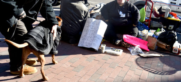 "Homeless family. Everything helps! Hot food & drinks appreciated. Cat is allergic to poultry!" Harvard Square, Cambridge, Jan. 26, 2018. (Greg Cook)