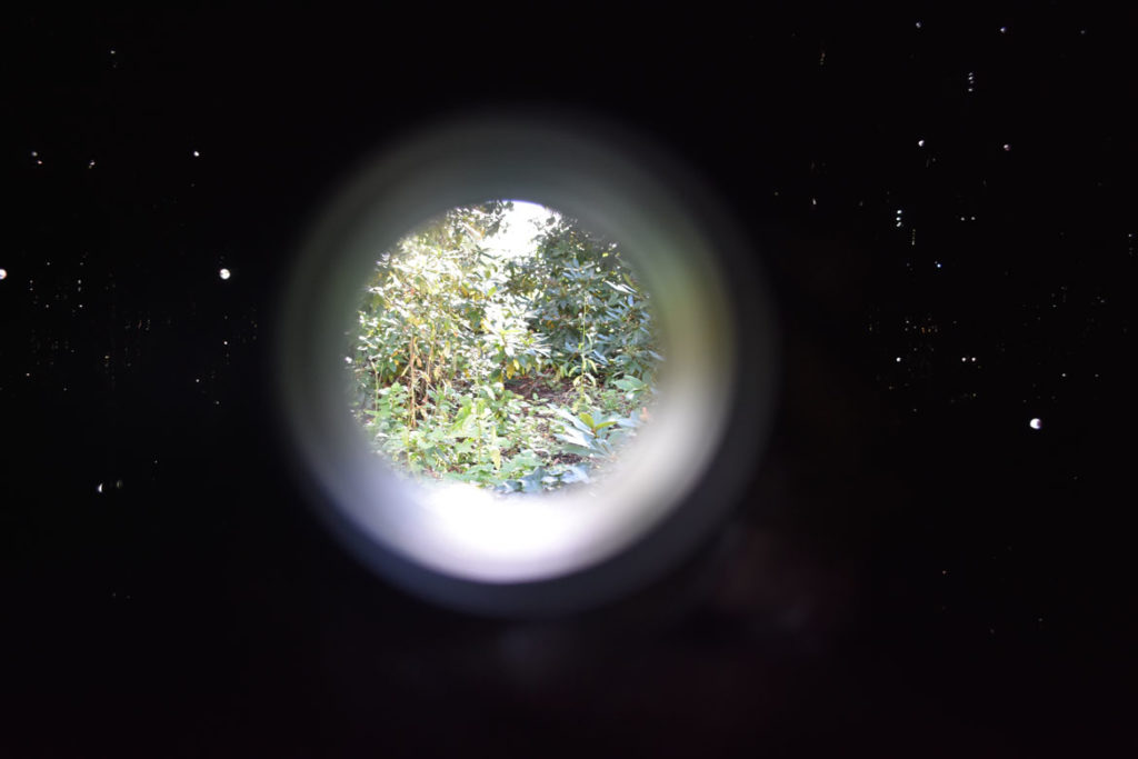Looking out one of the holes in Yayoi Kusama's "Where the Lights in My Heart Go," an infinity mirror room, 2016, at Decordova. (Greg Cook)