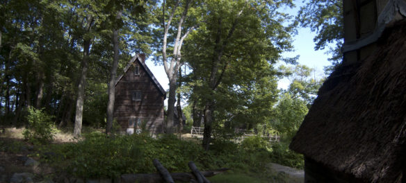 Pioneer Village: Salem in 1630 in Salem's Forest River Park, Sept. 1, 2017. (Greg Cook)