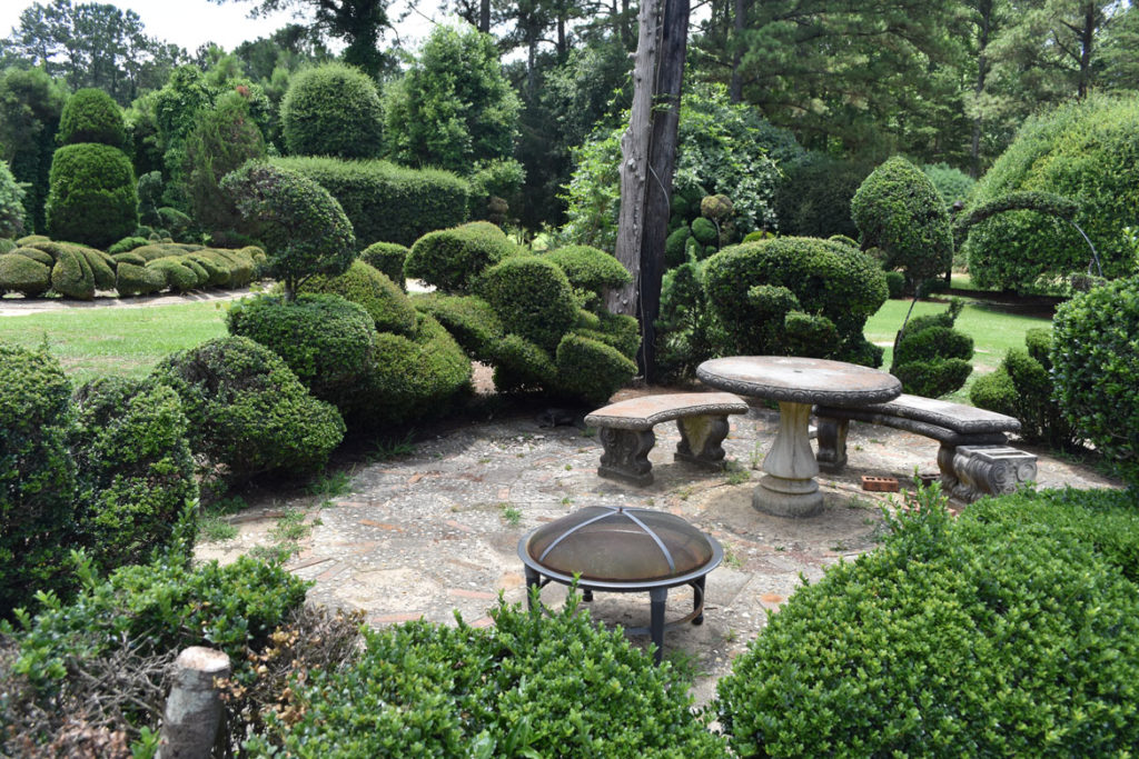 Pearl Fryar’s Topiary Garden at Bishopville, South Carolina, June 20, 2019. (Greg Cook)