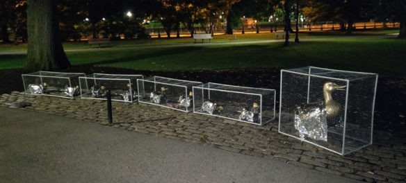 Karyn Alzayer caged the "Make Way for Ducklings" statues In Boston's Public Garden to protest abuse of immigrants, Aug. 2, 2019. (Photo: Daud Alzayer)