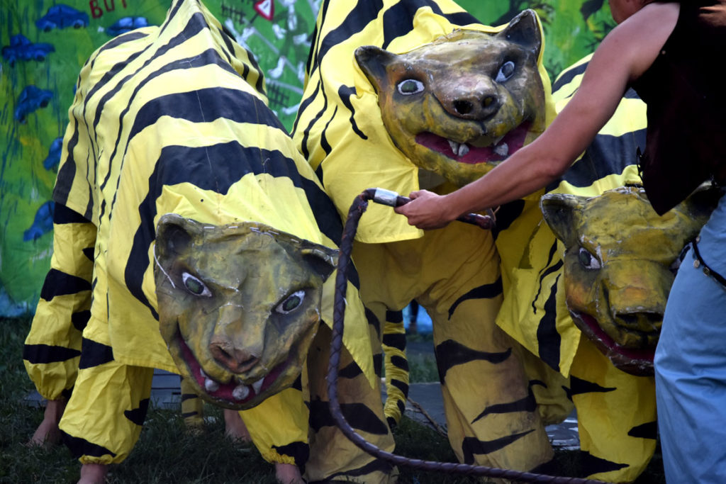 Tiger act during Bread and Puppet Theater's "Diagonal Life Circus" at Cambridge Common, Aug. 31, 2019. (Greg Cook)