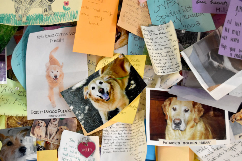 Notes tacked to the walls inside Stephen Huneck's Dog Chapel, St. Johnsbury, Vermont, Aug. 26, 2019. (Greg Cook)