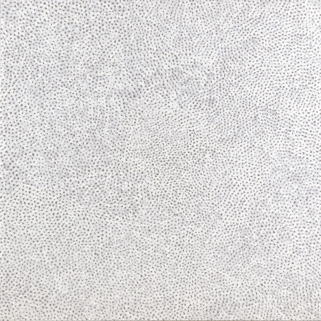 Yayoi Kusma, "Infinity-Nets (QPS)," 2008, acrylic on canvas. (Courtesy Mucciaccia Gallery, New York)