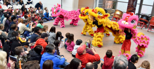 Gund Kwok Asian Women’s Lion Dance Troupe's Cubs performed at the Lunar New Year Festival at Salem's Peabody Essex Museum, Jan. 25, 2020. (Greg Cook)
