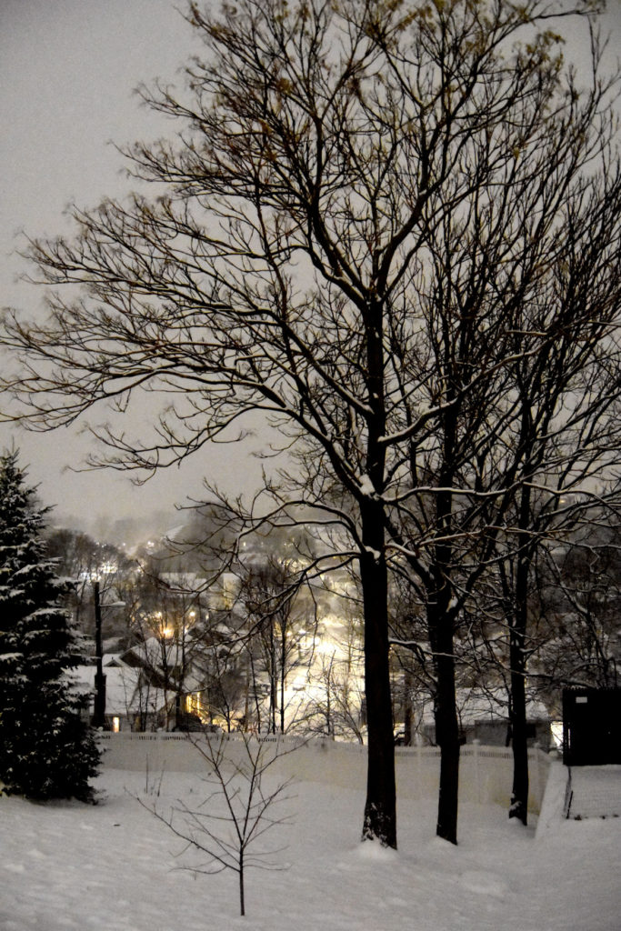 Snow in Malden, Massachusetts, Dec. 18, 2020. (Greg Cook photo)
