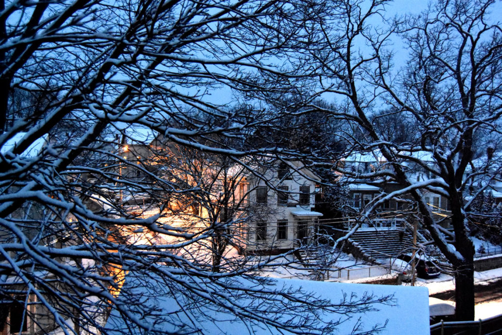 Snow in Malden, Massachusetts, Dec. 19, 2020. (Greg Cook photo)