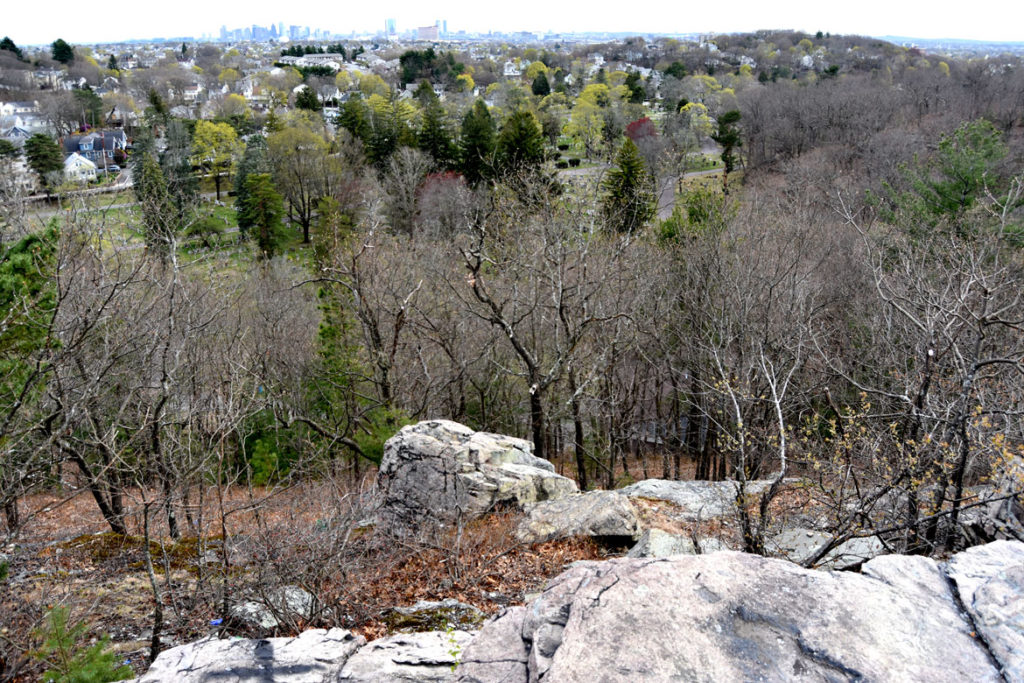 View from the top of Pine Banks Park across Forest Dale Cemetery in Malden to Boston, April 20, 2020. (Greg Cook photo)