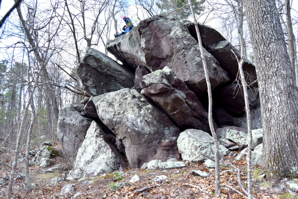 Massive boulders along path to Ponakpog boardwalk at the Blue Hills Reservation in Milton, Massachusetts, April 22, 2020. (Greg Cook photo)
