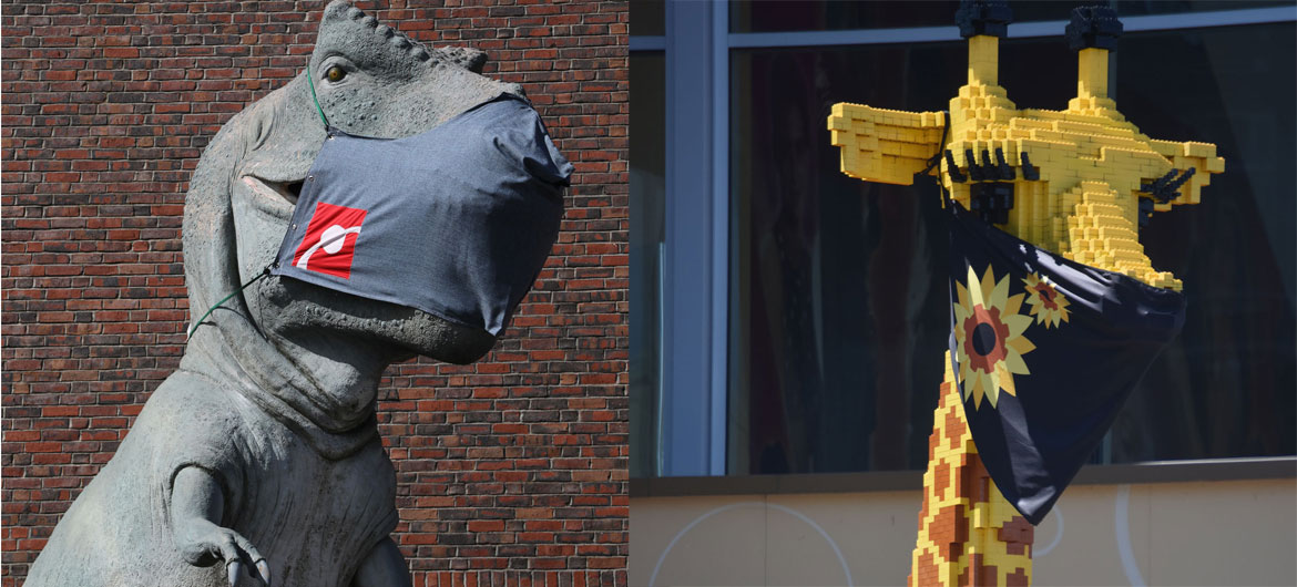 The T-Rex outside Boston's Museum of Science and the Lego giraffe standing in front of Somerville's Legoland Discovery Center now wear a coronavirus masks, June 2020.