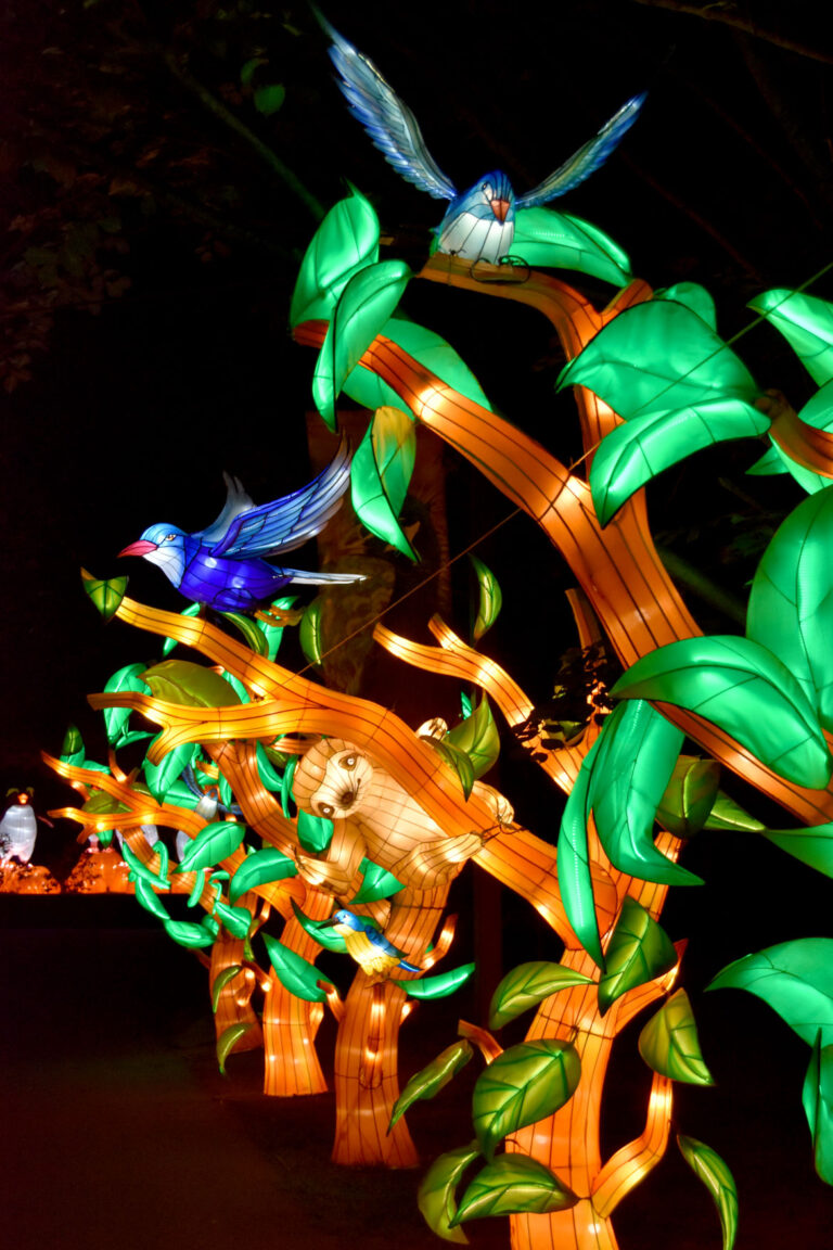Chinese Lantern Spectacle Comes To Boston’s Franklin Park Zoo WONDERLAND