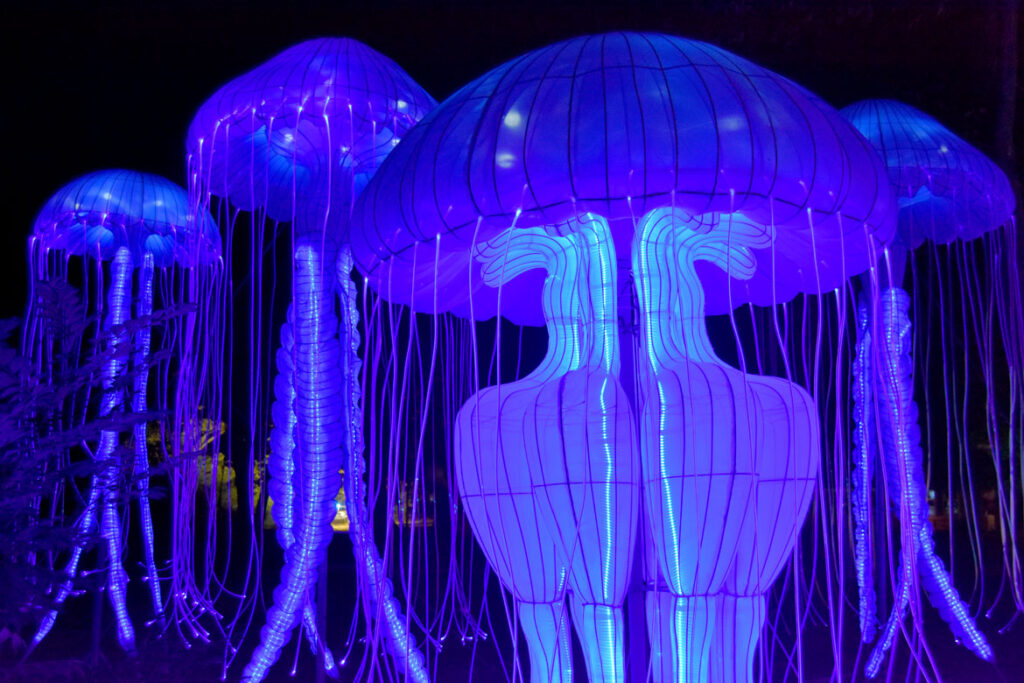 "Boston Lights: A Lantern Experience" at the Franklin Park Zoo, Boston, Aug. 20, 2020. (© Greg Cook photo)