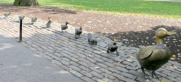 "Make Way for Ducklings" statues in Boston Public Garden outfitted with lacy collars in honor of Ruth Bader Ginsburg by Karyn Alzayer, Oct. 3, 2020. (Photo by Daud Alzayer)