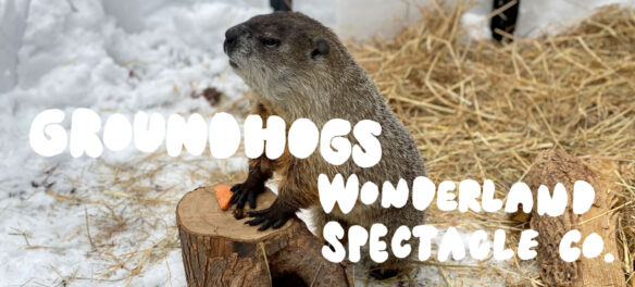 "Groundhogs" by Wonderland Spectacle Co.