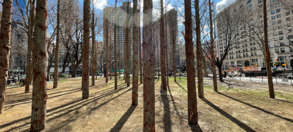Maya Lin, "Ghost Forest," 2021. (Courtesy the artist and Madison Square Park Conservancy / Photo credit: Maya Lin Studio)
