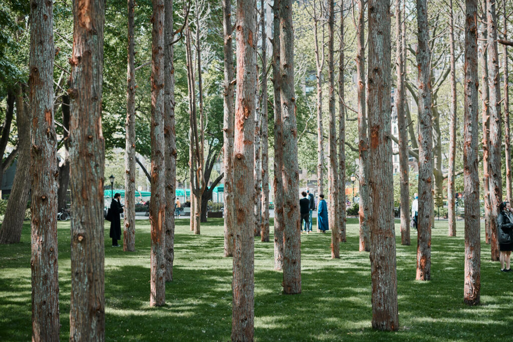 Maya Lin, "Ghost Forest," 2021. (Courtesy the artist and Madison Square Park Conservancy / Photo credit: Andy Romer)