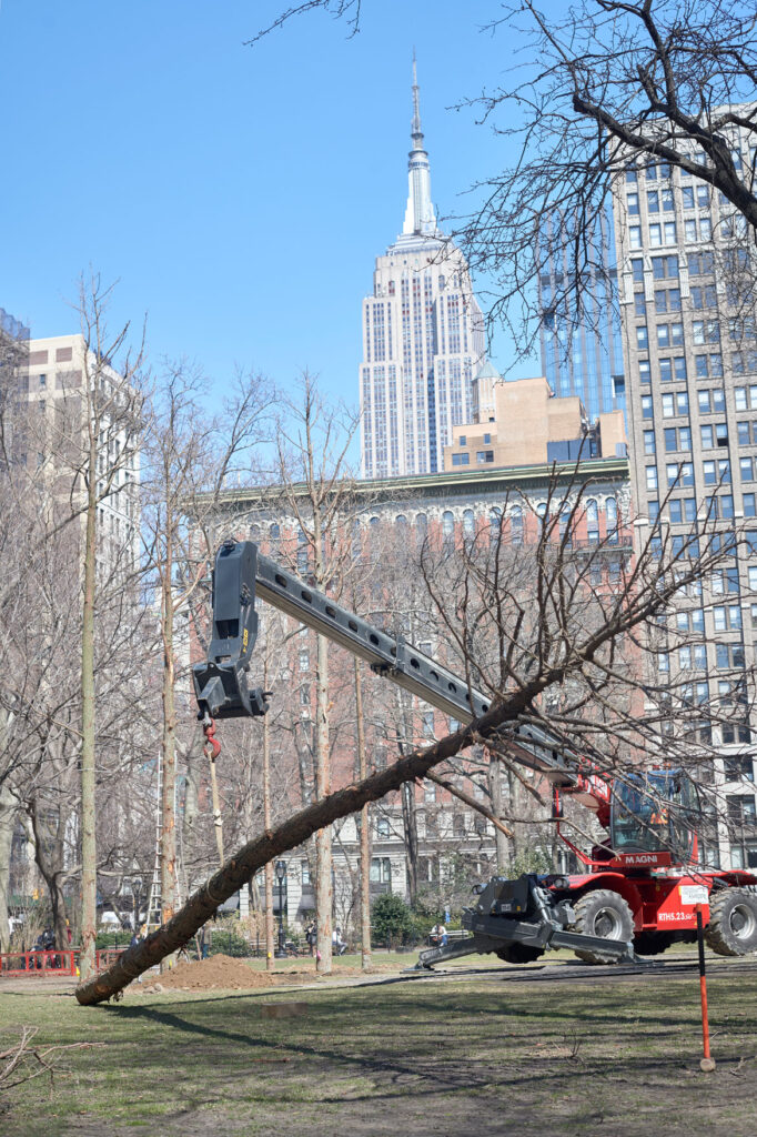 Maya Lin, Installation of "Ghost Forest" in process in Madison Square Park, 2021. (Courtesy the artist and Madison Square Park Conservancy / Photo credit: Andy Romer)